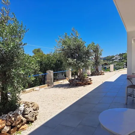 Ferienhaus View House *